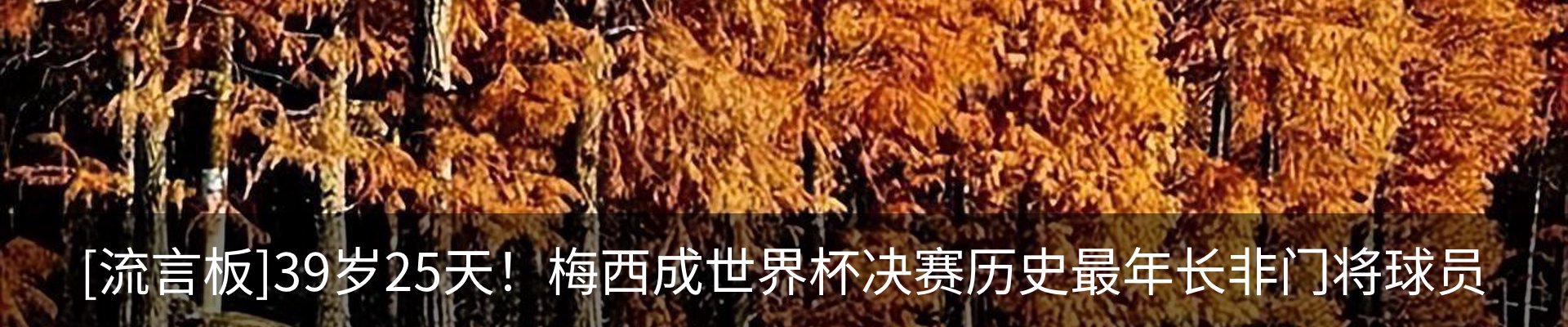 新闻动态